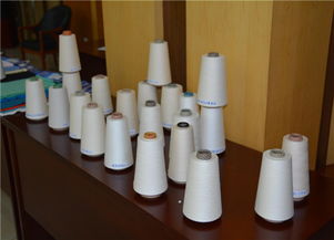 組圖 全國針織用紗線產(chǎn)品質(zhì)量提升活動(dòng)總結(jié)會在魏橋集團(tuán)召開