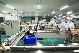 福娃六廠二期項目倉儲擔保方案解析