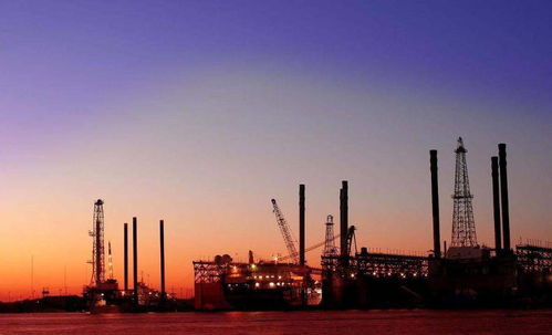 重磅 10家全球大型石化項目即將投產，運輸保障成關鍵